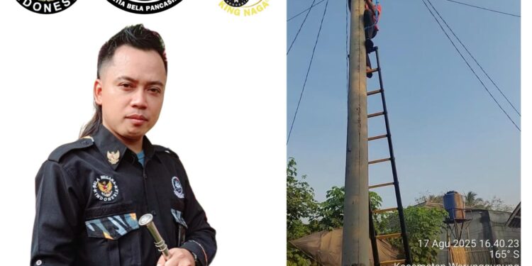 King Naga Angkat Bicara Soal Marak Jaringan Wifi Nempel di Tiang Listrik Milik PLN
